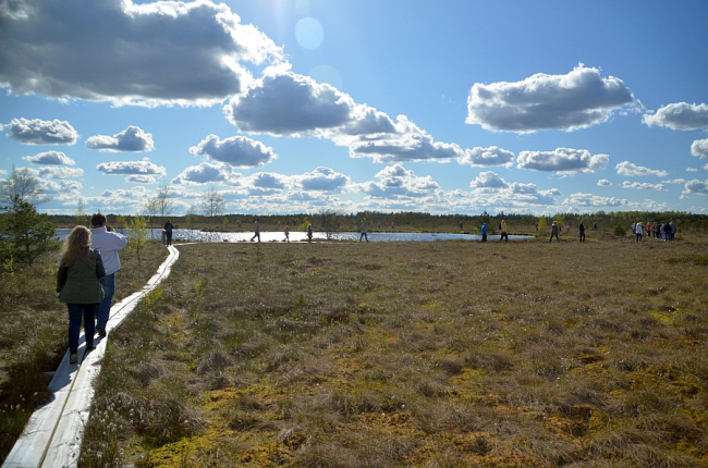 Looduse Omnibuss Kodru rabas. Foto: Kaido Einama