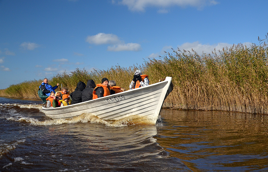 Looduse Omnibussi turistid Matsalus. Foto: Kaido Einama