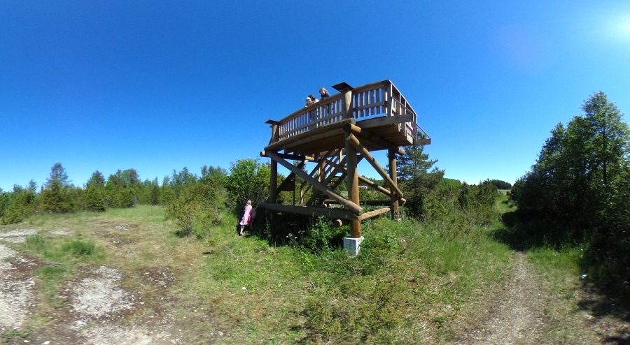 Saare linnuvaatlustorn.