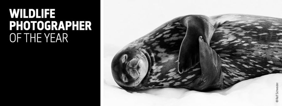 Foto: (C) Ralf Schneider