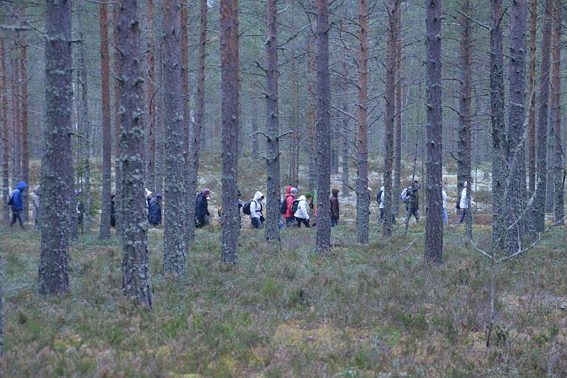 Põlislooduse matkad.