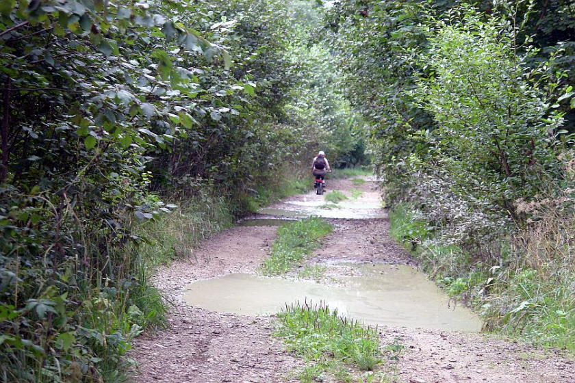 Jalgrattamatk. Pilt on illustreeriv.