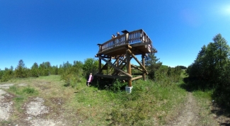 Saare linnuvaatlustorn.