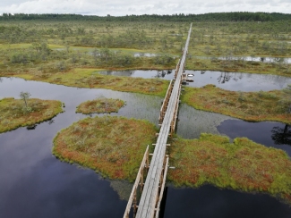 Männikjärve raba.