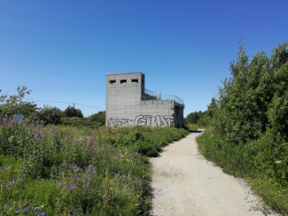 Paljassaare linnuvaatlustorn.