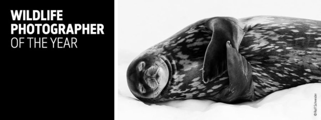 Foto: (C) Ralf Schneider